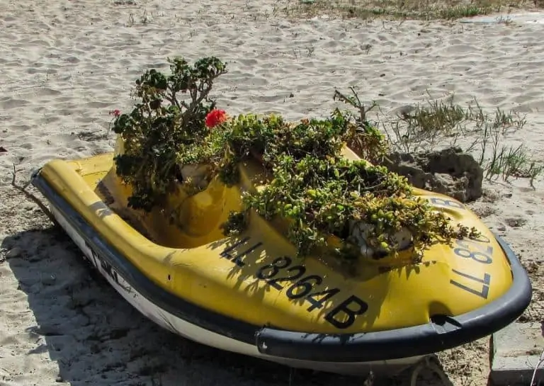 Abandoned jet ski on a beach with plants growing out of it