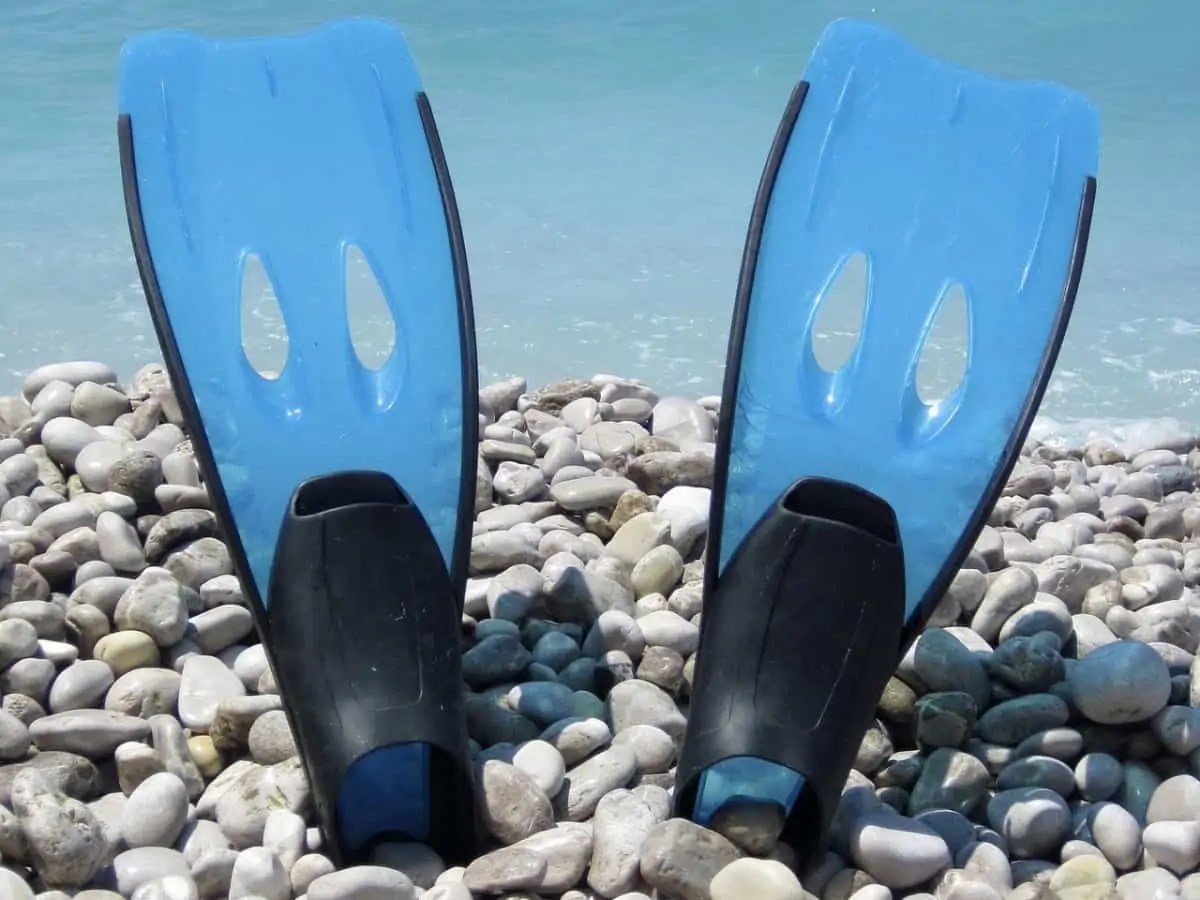Blue fins stuck upright in rocks. Using fins when snorkeling offer benefits.