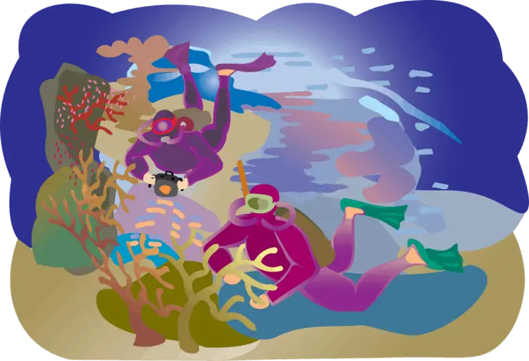 Drawing of divers over a reef